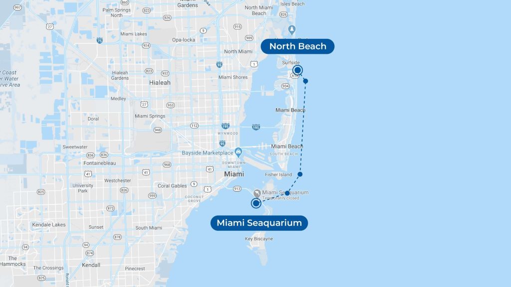 Miami Map